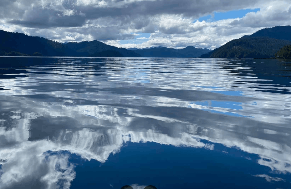 ...